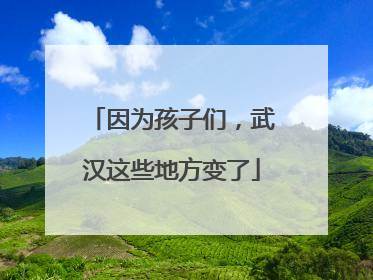 因为孩子们，武汉这些地方变了